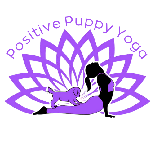 Puppy Yoga Sydney